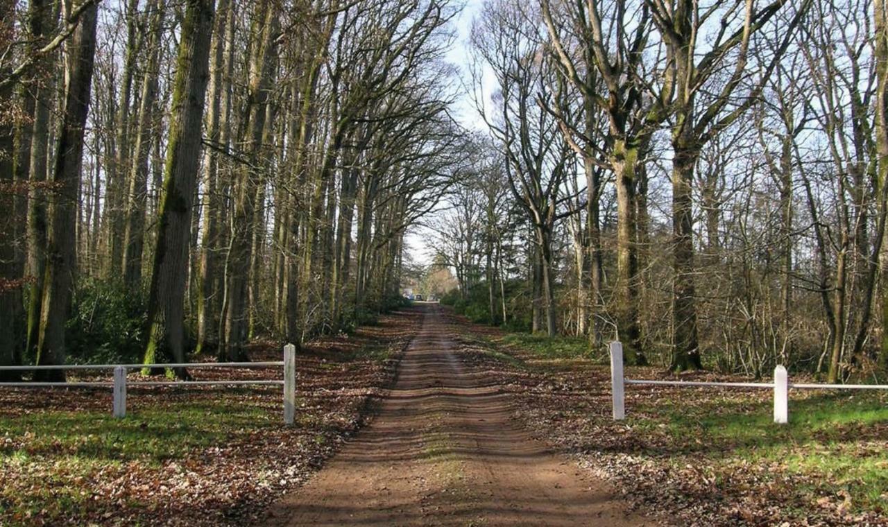 Domaine De La Haute-Porte Souvigné-sur-Sarthe 외부 사진